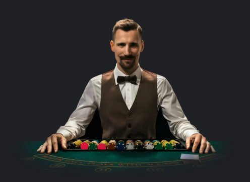 333bet vip